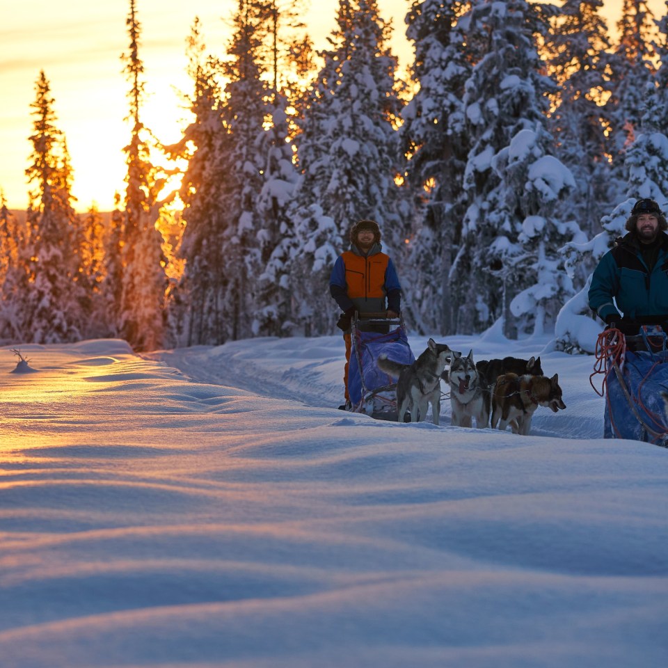 Huskyspuren im Reisa-Tal